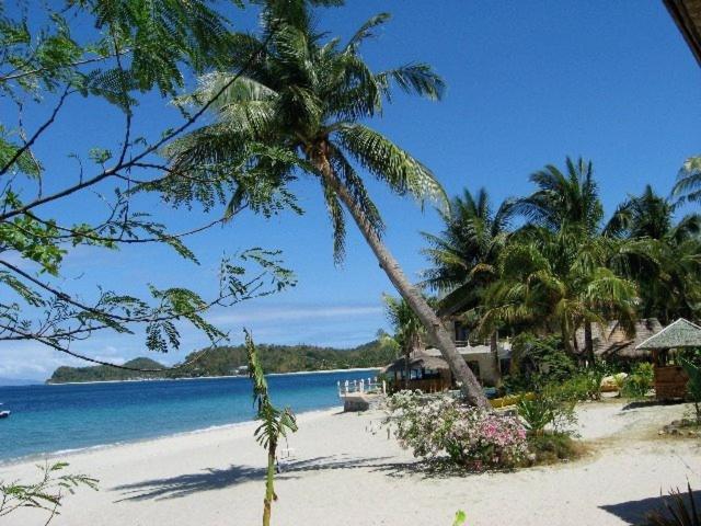 El Canonero Diving Beach Resort Puerto Galera Eksteriør billede